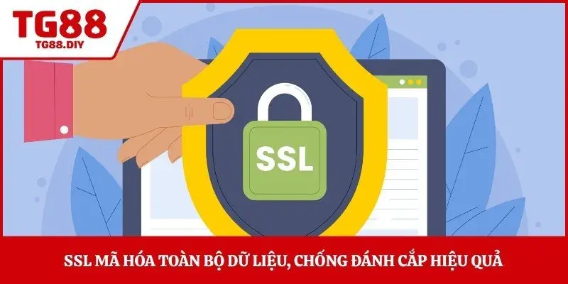 SSL mã hóa toàn bộ dữ liệu, chống đánh cắp hiệu quả