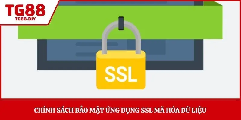 Chính sách bảo mật ứng dụng SSL mã hóa dữ liệu
