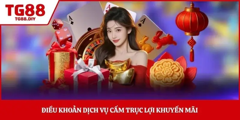 Điều khoản dịch vụ cấm trục lợi khuyến mãi 