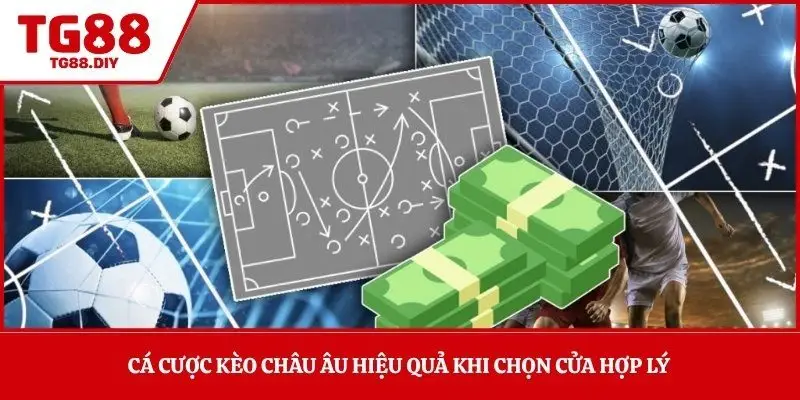 Cá cược kèo châu Âu hiệu quả khi chọn cửa hợp lý