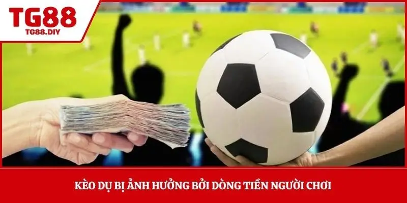 Kèo dụ bị ảnh hưởng bởi dòng tiền người chơi