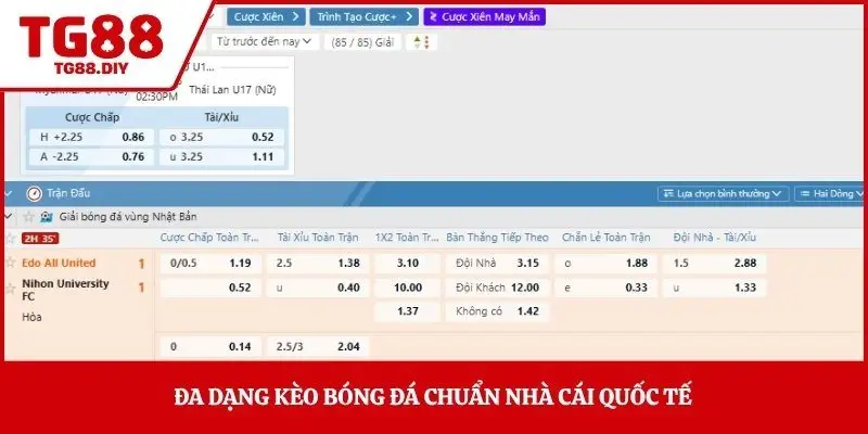Đa dạng kèo bóng đá chuẩn nhà cái quốc tế 