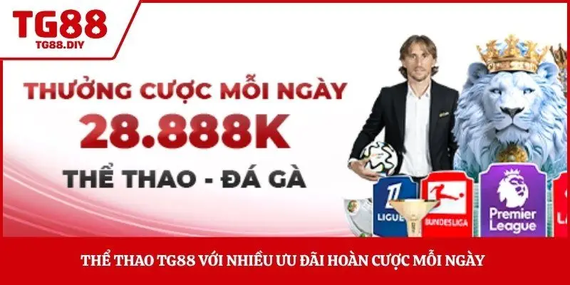 Thể thao TG88 với nhiều ưu đãi hoàn cược mỗi ngày 