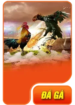 thumb đá gà tg88