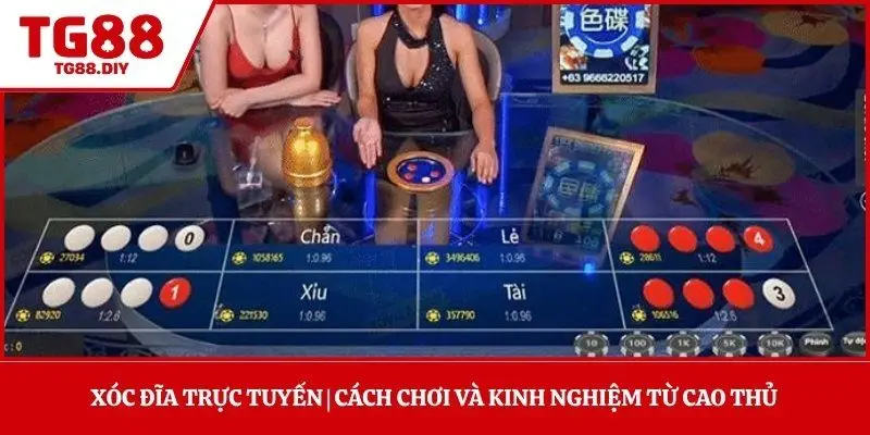 Xóc Đĩa Trực Tuyến | Cách Chơi Và Kinh Nghiệm Từ Cao Thủ